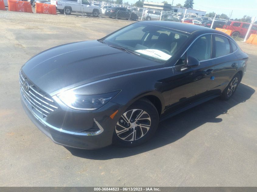 2023 HYUNDAI SONATA HYBRID BLUE - KMHL24JJ2PA067351