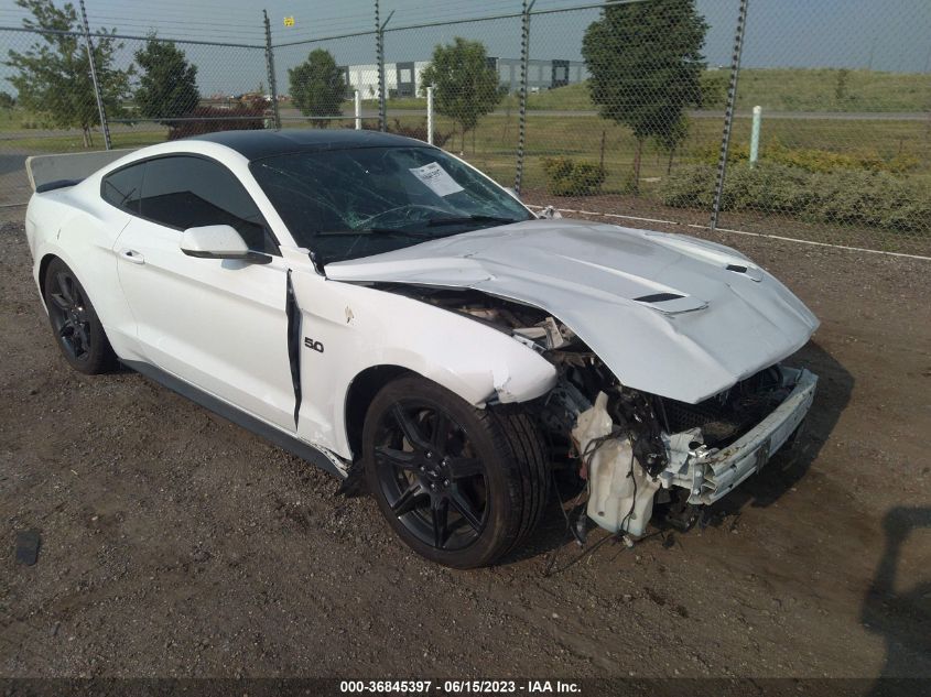 2019 FORD MUSTANG GT - 1FA6P8CF9K5143187