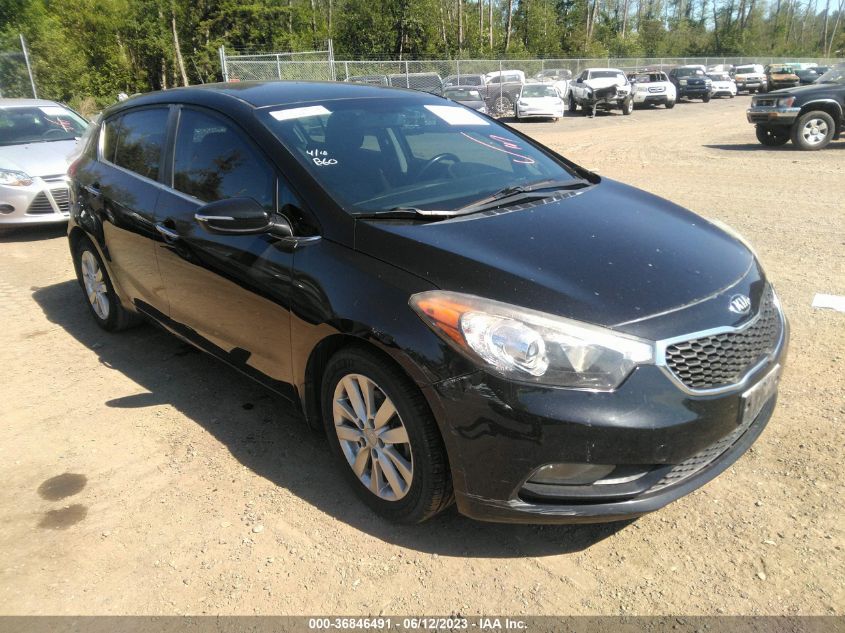 2015 KIA FORTE 5-DOOR EX - KNAFX5A84F5289321