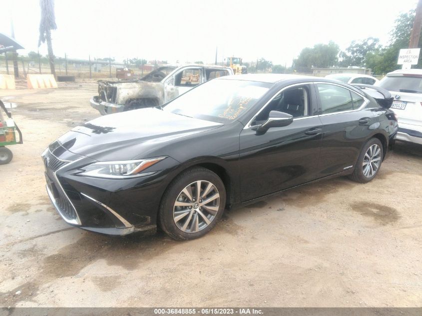 2019 LEXUS ES ES 300H - JTHB21B1XK2037674