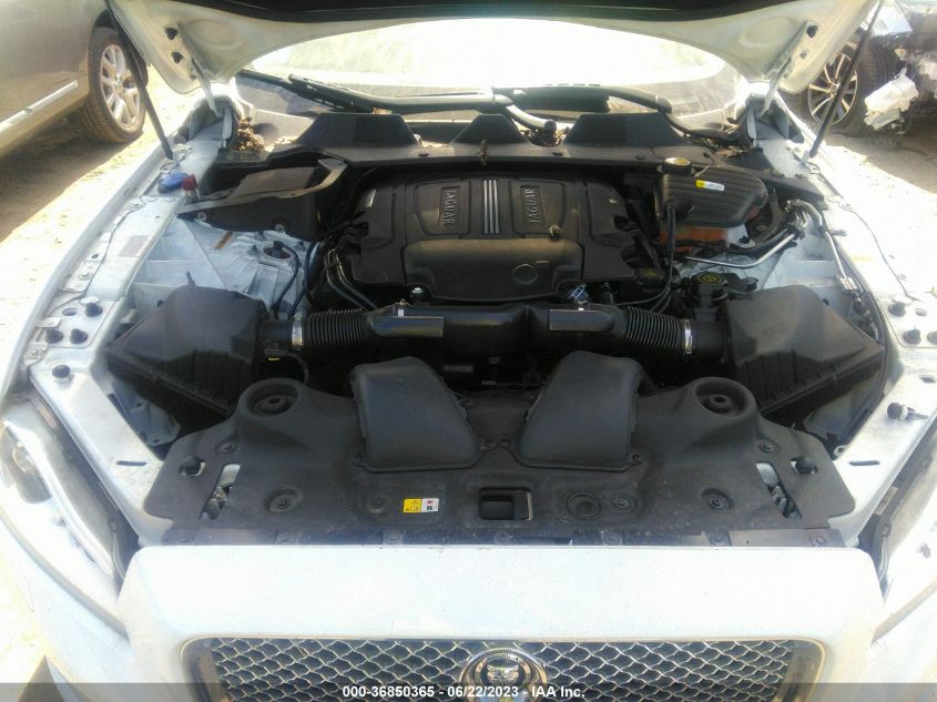 2013 JAGUAR XJ - SAJWJ2GD3D8V46358