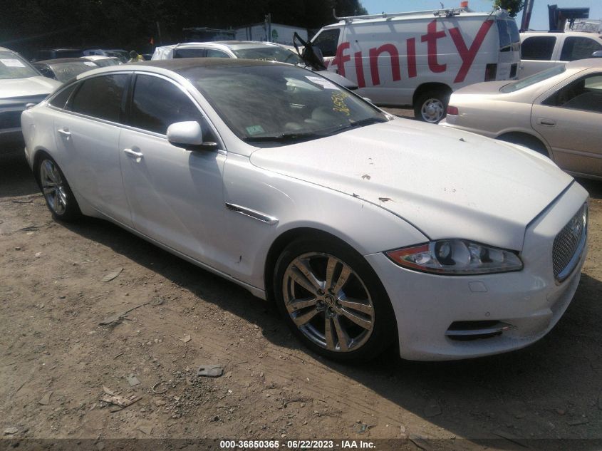 2013 JAGUAR XJ - SAJWJ2GD3D8V46358