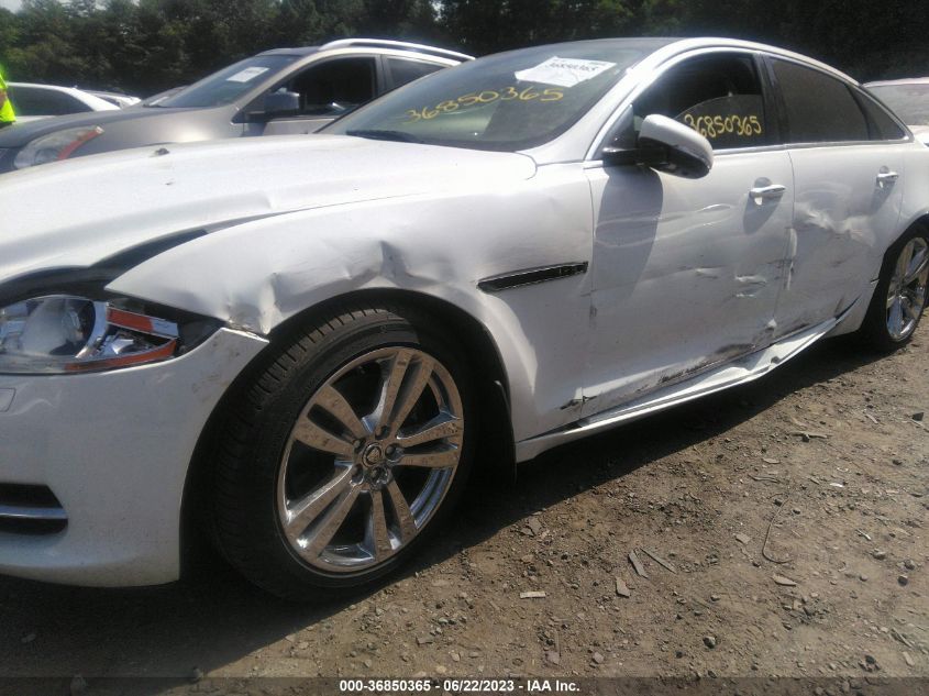 2013 JAGUAR XJ - SAJWJ2GD3D8V46358