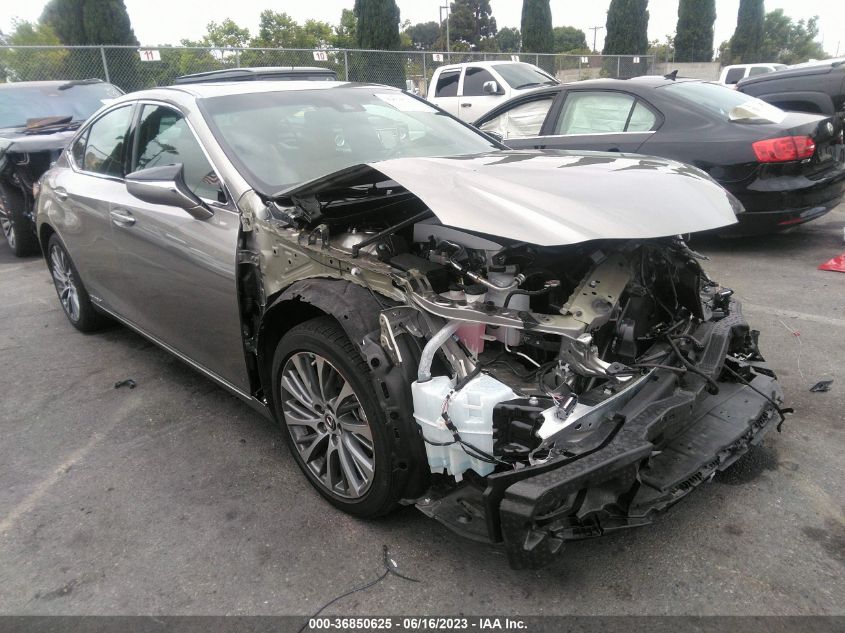 2021 LEXUS ES ES 300H - 58ADA1C16MU010902