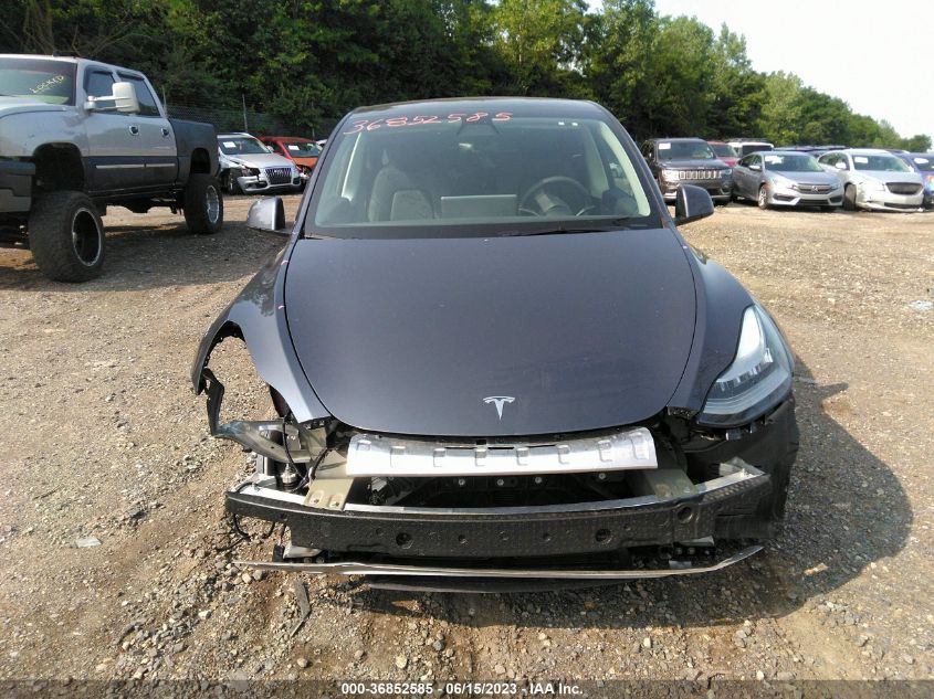 2022 TESLA MODEL Y - 7SAYGDEEXNF368790