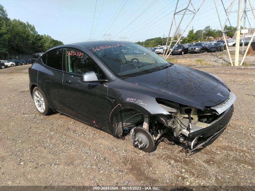 2022 TESLA MODEL Y - 7SAYGDEEXNF368790