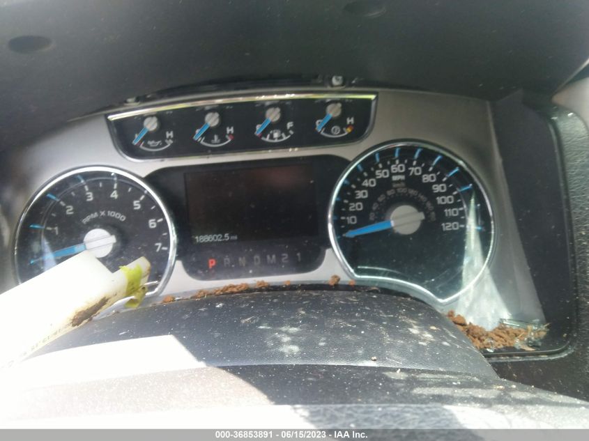 2013 FORD F-150 XL/XLT/FX4/LARIAT - 1FTFW1ET3DFC12007