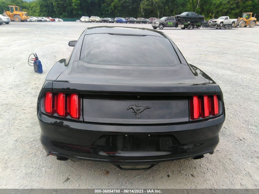 1FA6P8AM3H5238841 2017 FORD MUSTANG, photo no. 16