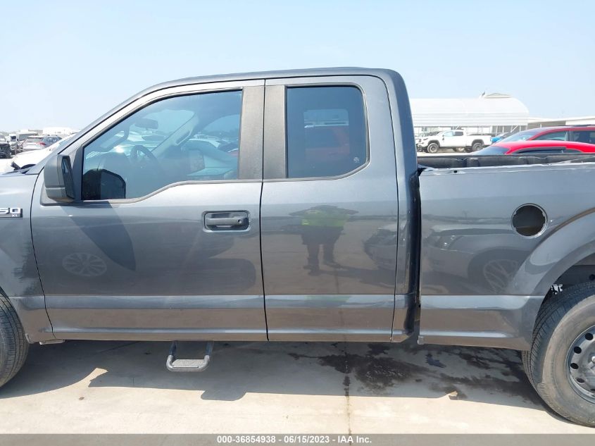 2019 FORD F-150 XL/XLT - 1FTEX1CB3KKD33028