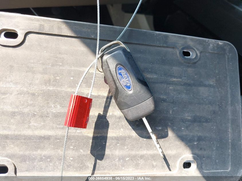 2019 FORD F-150 XL/XLT - 1FTEX1CB3KKD33028