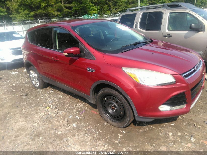 2013 FORD ESCAPE SEL - 1FMCU9H92DUC95976