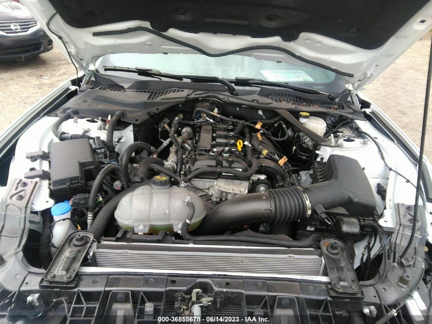 2022 FORD MUSTANG ECOBOOST - 1FATP8UH1N5102415