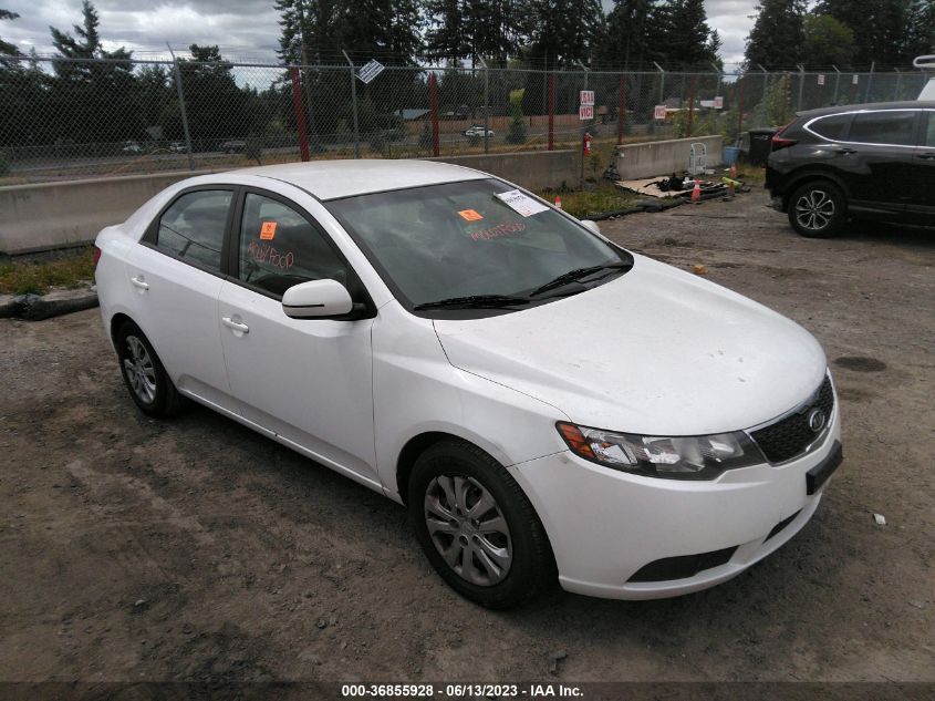 2013 KIA FORTE EX - KNAFU4A25D5682966