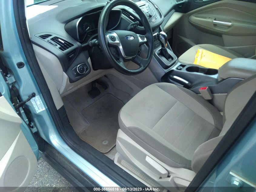 2014 FORD C-MAX HYBRID SE - 1FADP5AU4EL517762