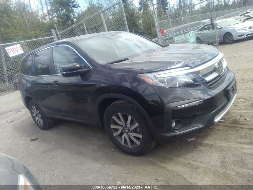 2019 HONDA PILOT EX-L - 5FNYF6H52KB070575