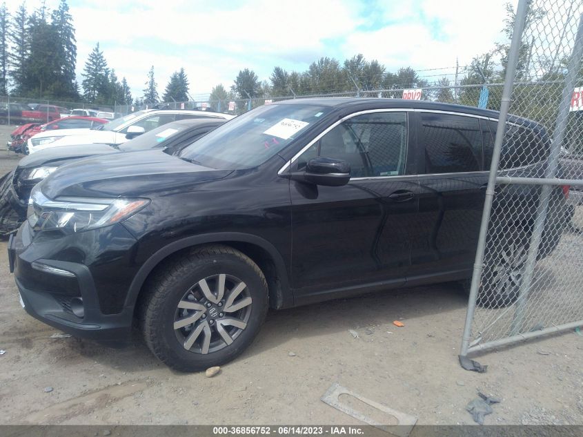 2019 HONDA PILOT EX-L - 5FNYF6H52KB070575