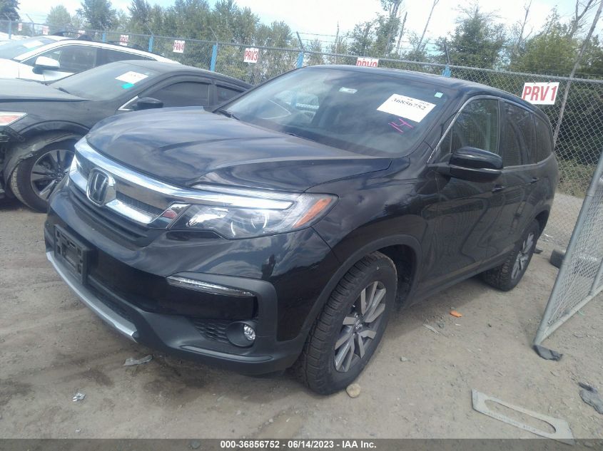 2019 HONDA PILOT EX-L - 5FNYF6H52KB070575
