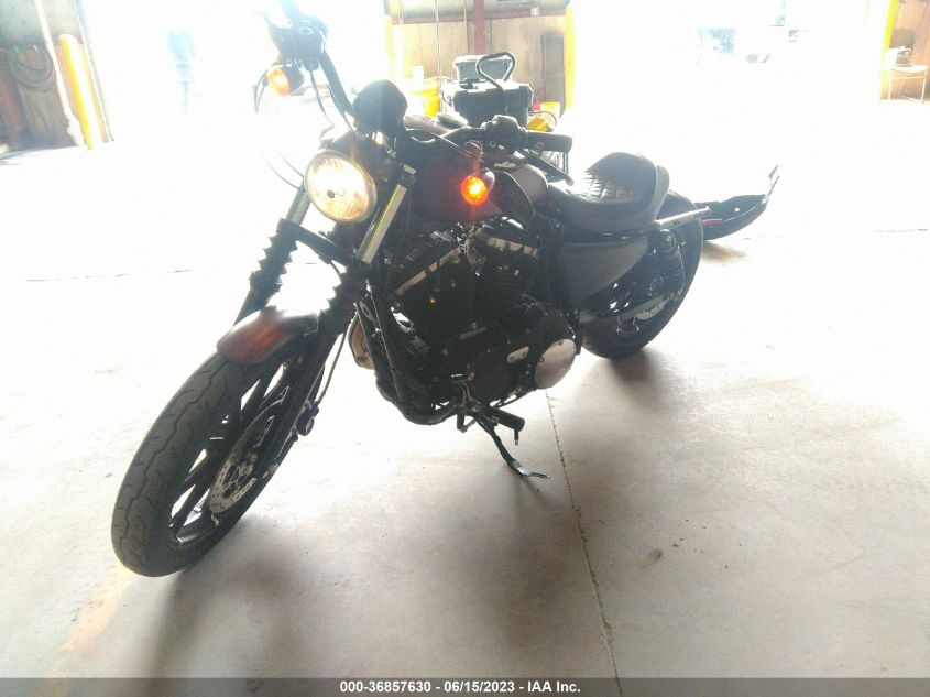 2019 HARLEY-DAVIDSON XL883 N - 1HD4LE219KC423459