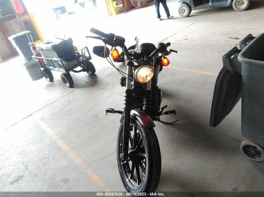 2019 HARLEY-DAVIDSON XL883 N - 1HD4LE219KC423459