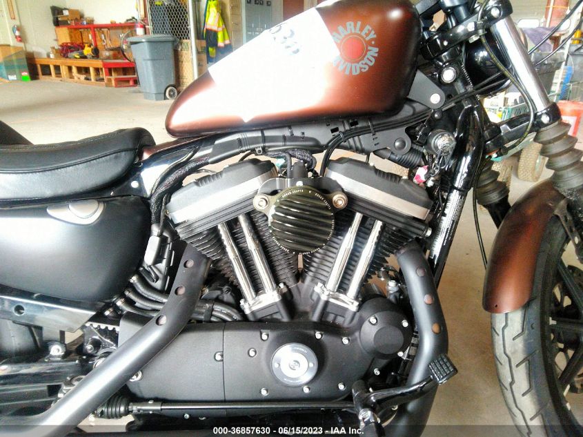 2019 HARLEY-DAVIDSON XL883 N - 1HD4LE219KC423459