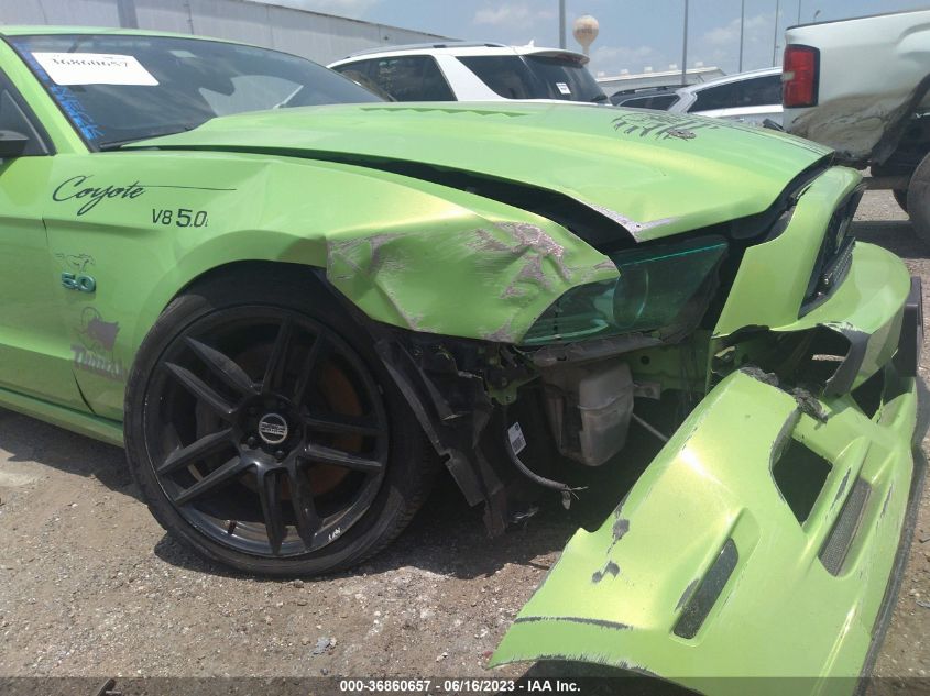 2013 FORD MUSTANG GT PREMIUM - 1ZVBP8CF8D5249638