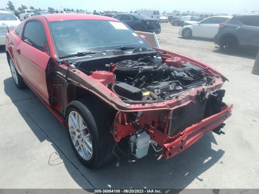 2013 FORD MUSTANG V6 - 1ZVBP8AM3D5247717