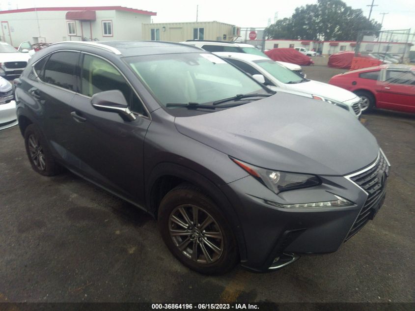 2019 LEXUS NX 300 BASE/300 F-SPORT - JTJYARBZ6K2124181