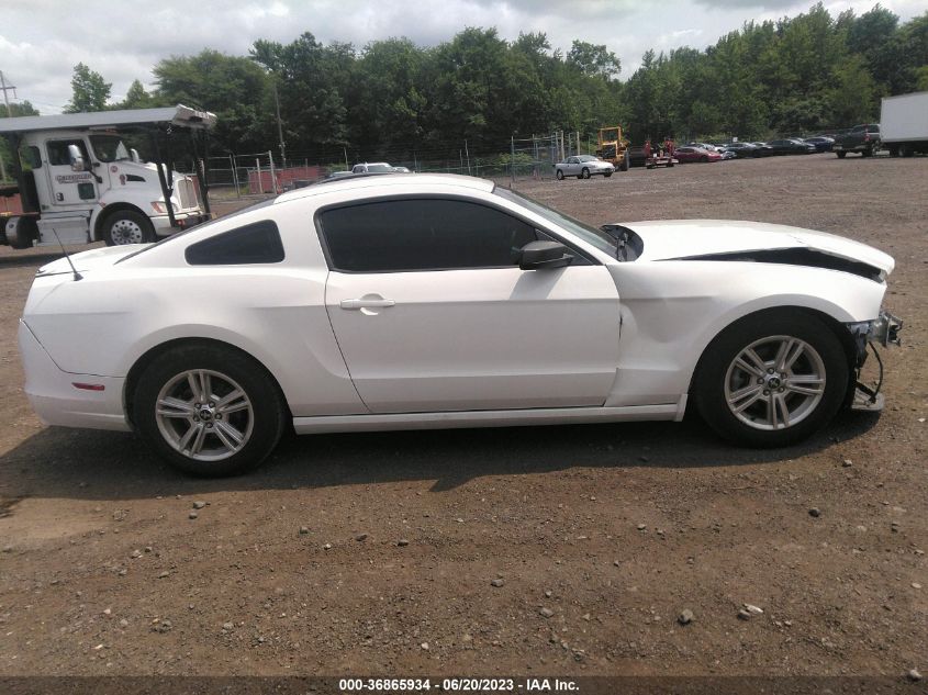 2014 FORD MUSTANG V6 - 1ZVBP8AM8E5219008