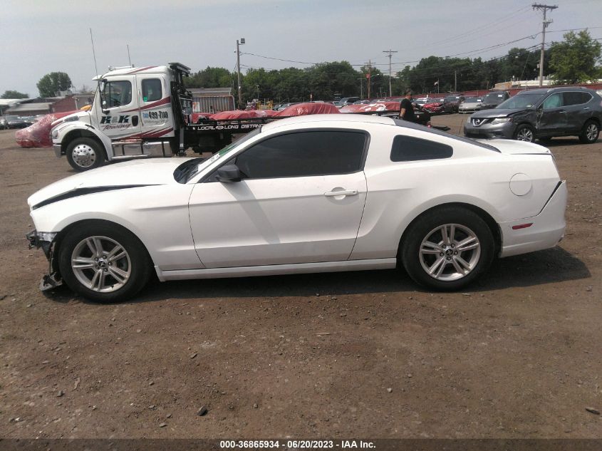 2014 FORD MUSTANG V6 - 1ZVBP8AM8E5219008