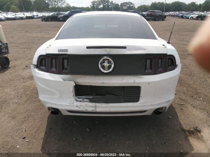 2014 FORD MUSTANG V6 - 1ZVBP8AM8E5219008