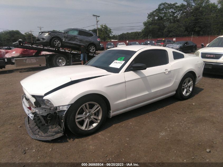 2014 FORD MUSTANG V6 - 1ZVBP8AM8E5219008