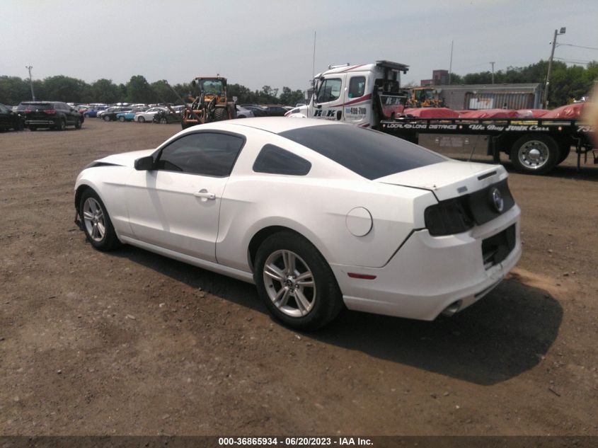 2014 FORD MUSTANG V6 - 1ZVBP8AM8E5219008