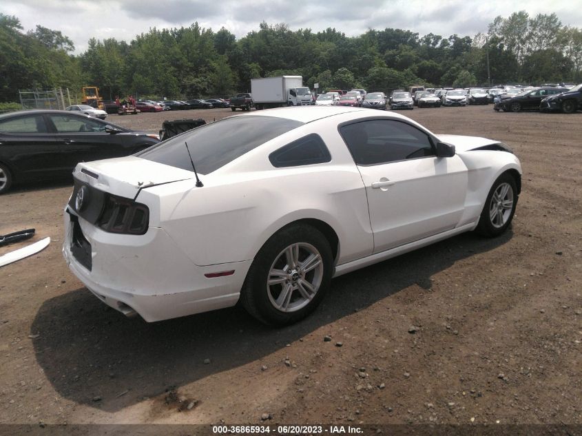 2014 FORD MUSTANG V6 - 1ZVBP8AM8E5219008