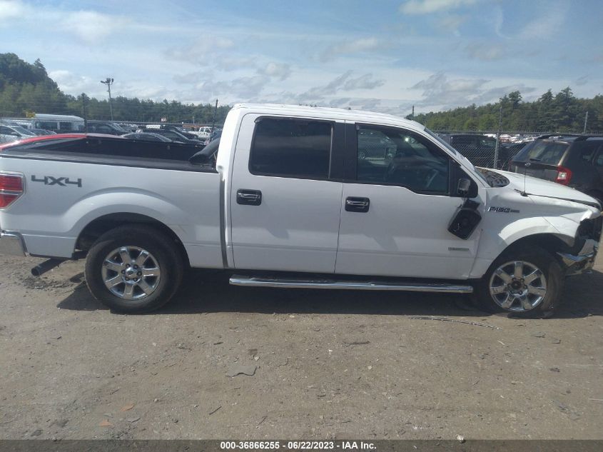 2013 FORD F-150 XL/XLT/FX4/LARIAT - 1FTFW1ET3DFD73022