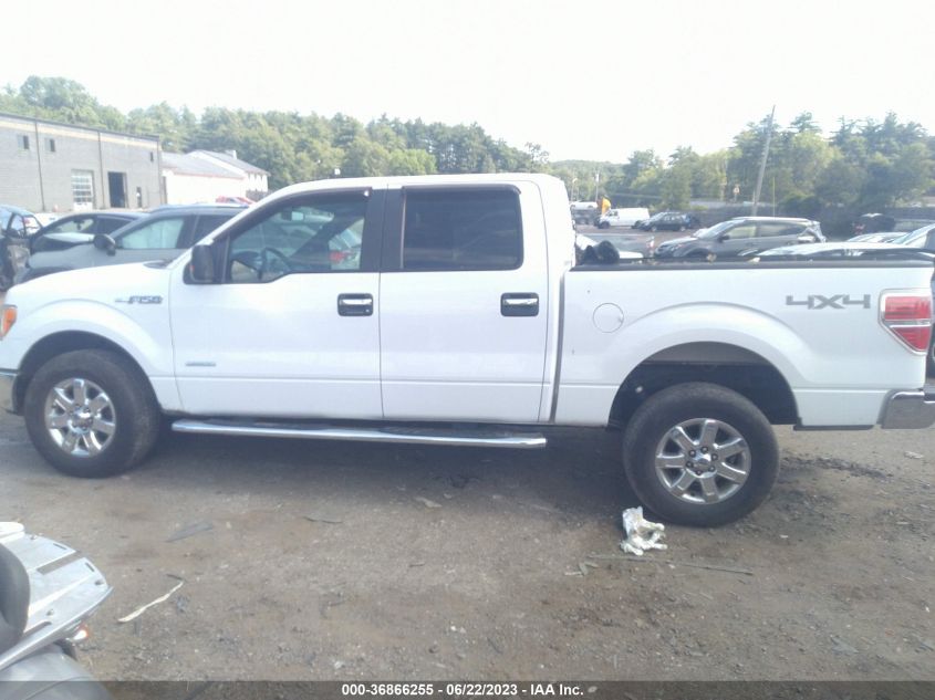 2013 FORD F-150 XL/XLT/FX4/LARIAT - 1FTFW1ET3DFD73022