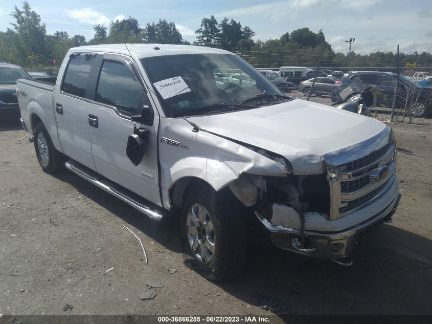 2013 FORD F-150 XL/XLT/FX4/LARIAT - 1FTFW1ET3DFD73022