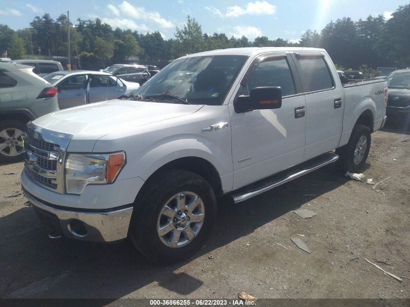 2013 FORD F-150 XL/XLT/FX4/LARIAT - 1FTFW1ET3DFD73022