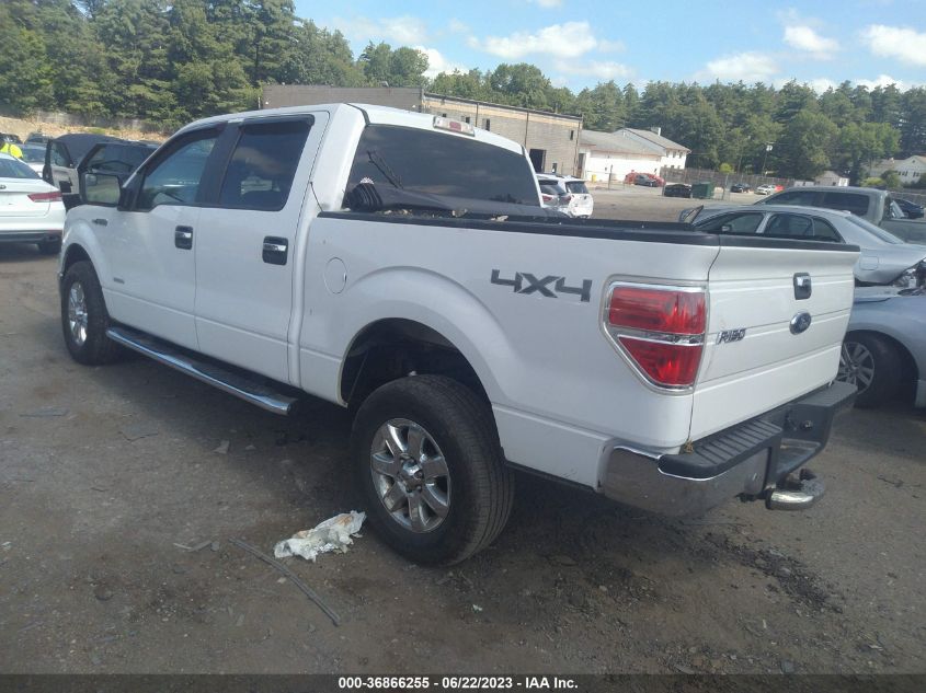 2013 FORD F-150 XL/XLT/FX4/LARIAT - 1FTFW1ET3DFD73022