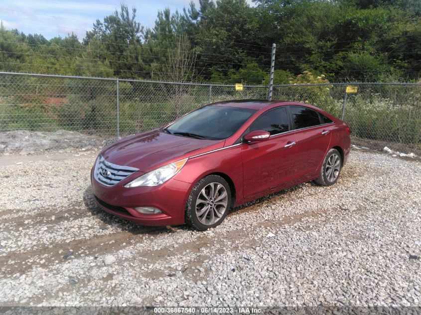 2013 HYUNDAI SONATA LIMITED - 5NPEC4AB6DH662338