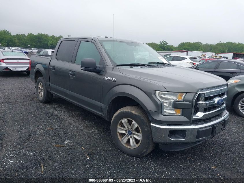 2015 FORD F-150 XLT/XL - 1FTEW1E81FKF20536