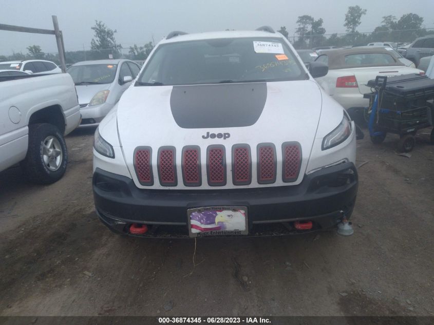 2017 JEEP CHEROKEE TRAILHAWK - 1C4PJMBS1HW598481