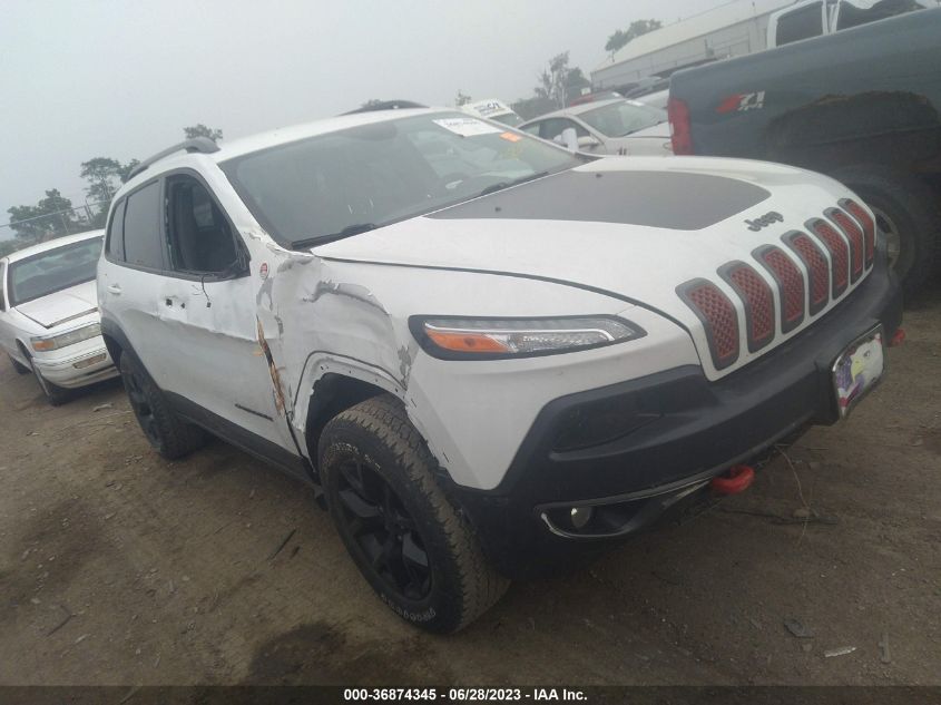 2017 JEEP CHEROKEE TRAILHAWK - 1C4PJMBS1HW598481