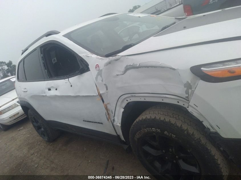 2017 JEEP CHEROKEE TRAILHAWK - 1C4PJMBS1HW598481