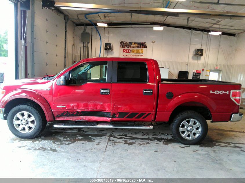 2014 FORD F-150 XL/XLT/FX4/LARIAT - 1FTFW1ET8EFB24510