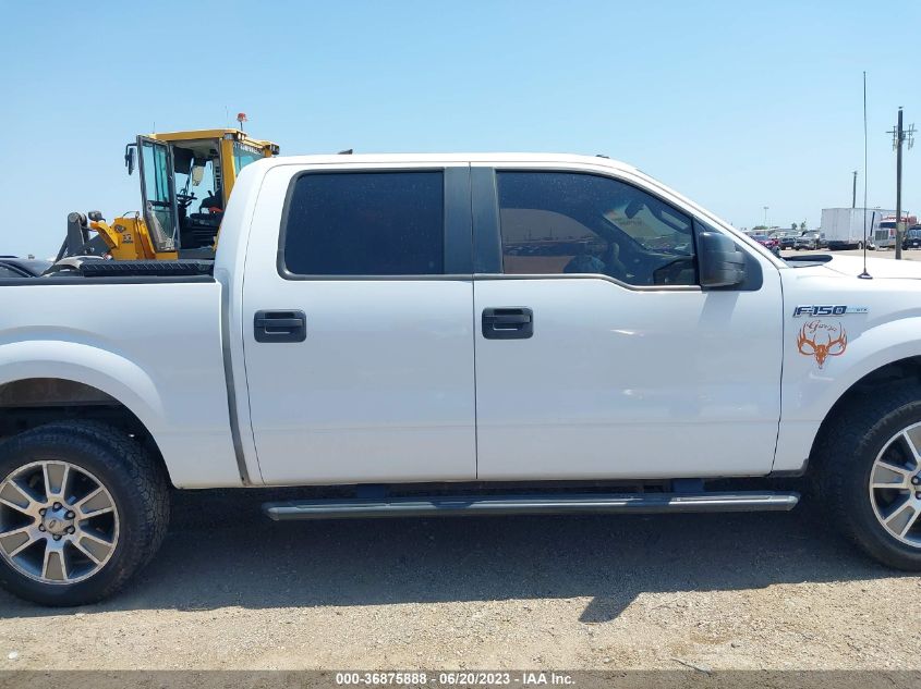 2014 FORD F-150 XL/STX/XLT - 1FTEW1CM7EKF06557
