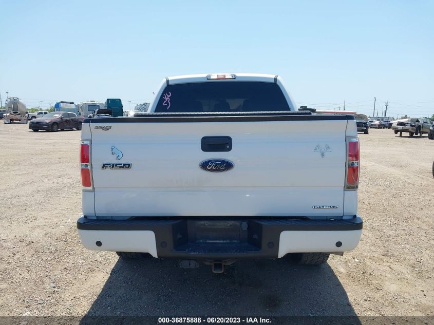 2014 FORD F-150 XL/STX/XLT - 1FTEW1CM7EKF06557