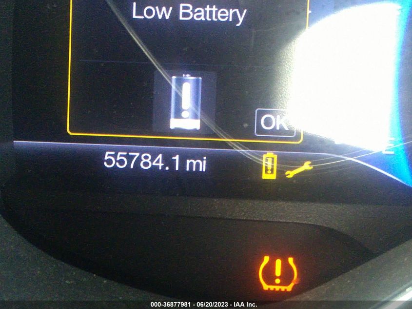 2013 FORD FOCUS ELECTRIC - 1FADP3R48DL126007