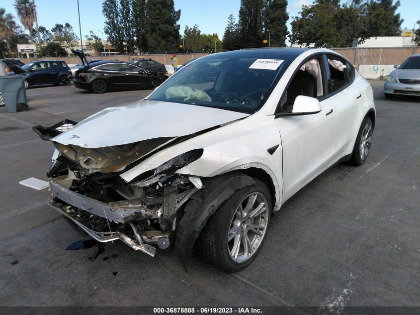 Auction sale of the 2021 TESLA MODEL Y , vin: 5YJYGDEE2MF232956, lot number: 36878888