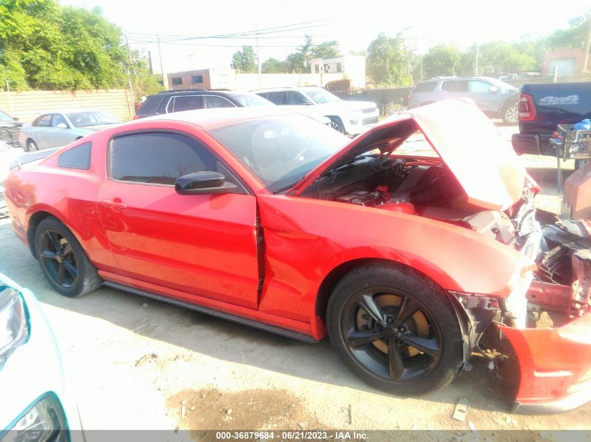2013 FORD MUSTANG - 1ZVBP8AMXD5235144