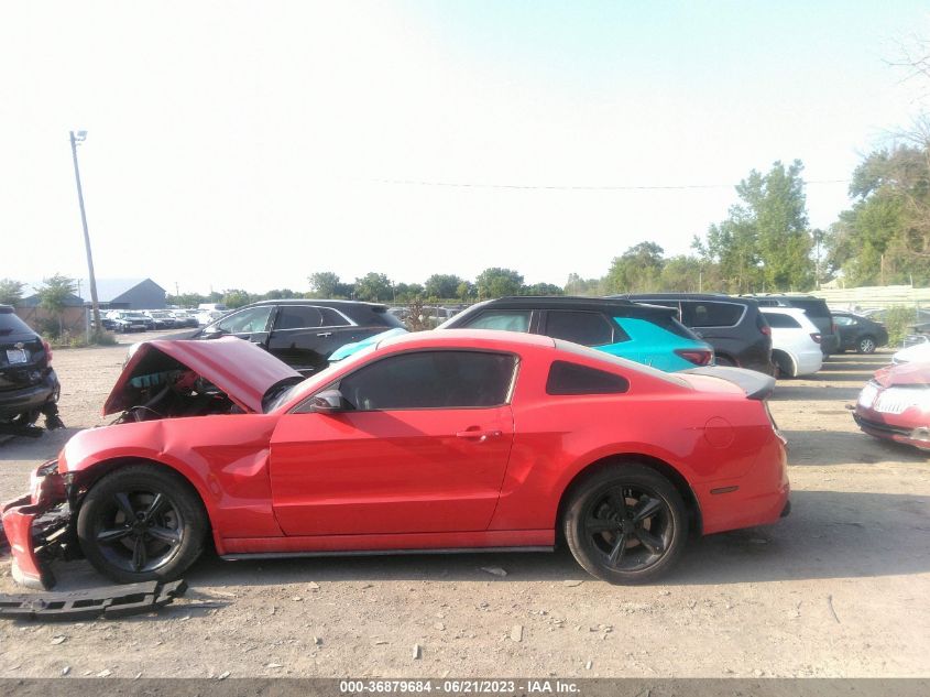 2013 FORD MUSTANG - 1ZVBP8AMXD5235144
